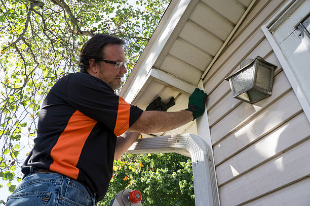 Best Shed Removal  in West Crossett, AR